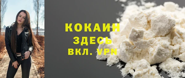 стафф Дмитров