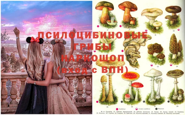 скорость Дмитровск