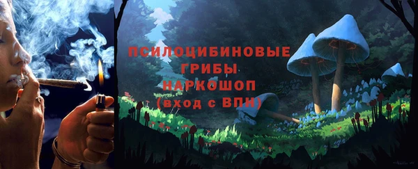 стафф Дмитров